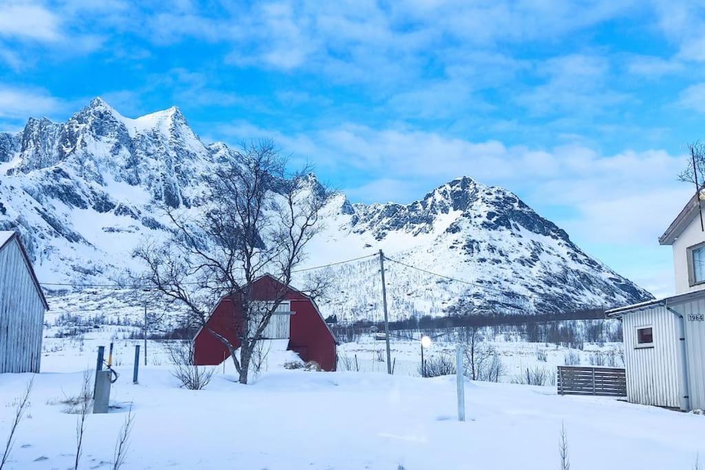 Norwegian House Maria Stua Daire Mefjordvær Dış mekan fotoğraf