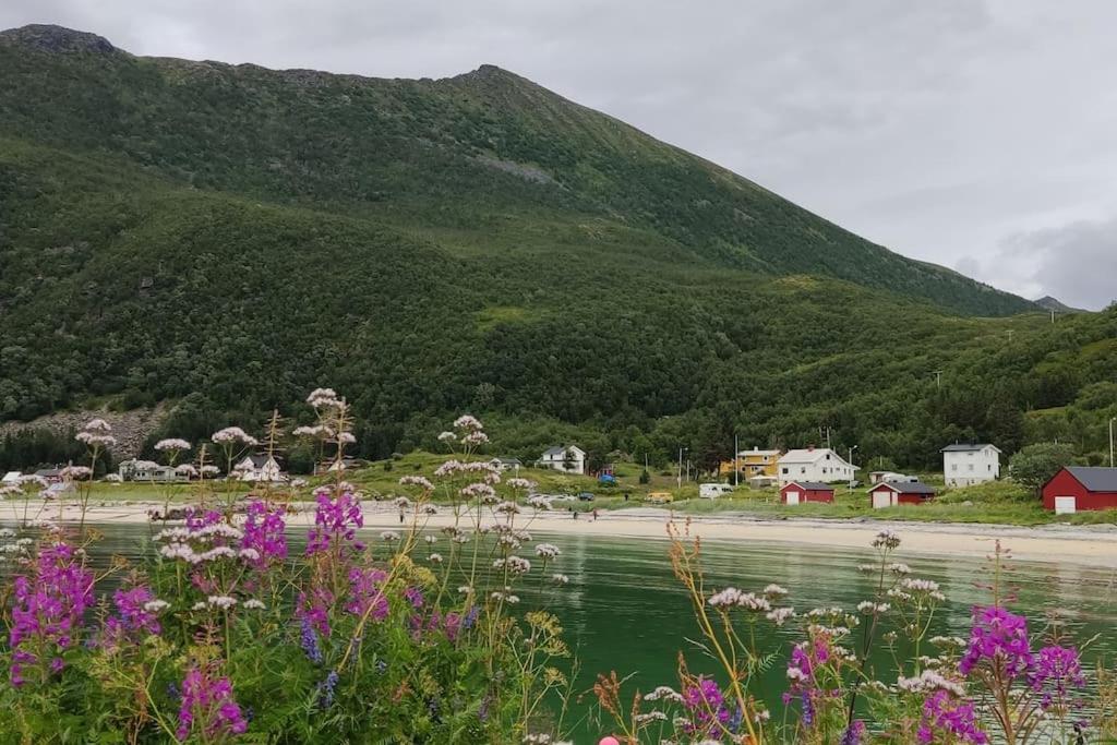 Norwegian House Maria Stua Daire Mefjordvær Dış mekan fotoğraf