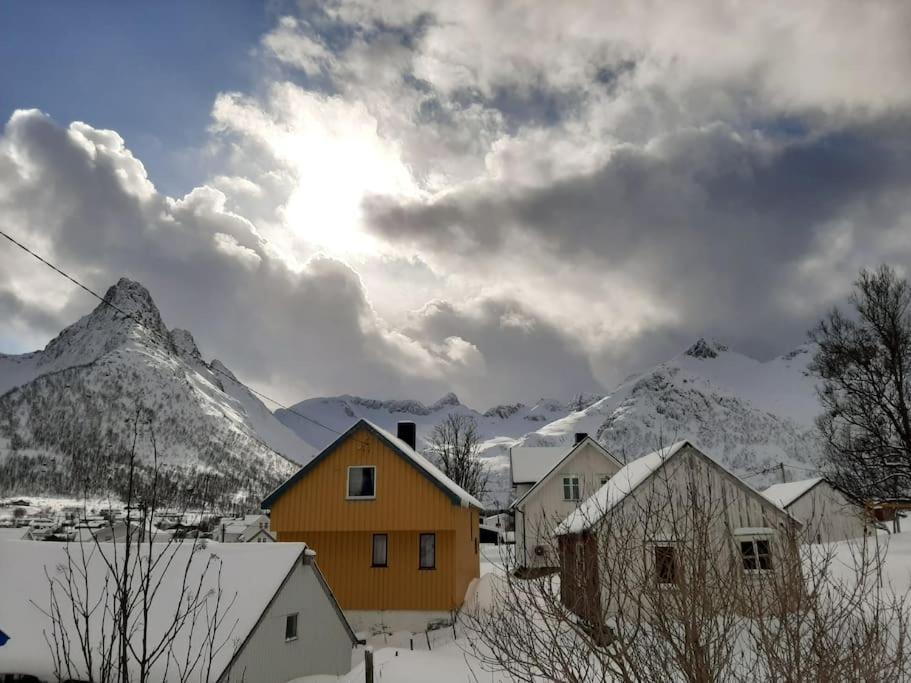 Norwegian House Maria Stua Daire Mefjordvær Dış mekan fotoğraf